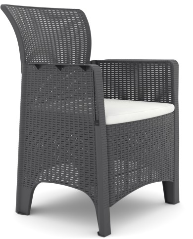 Sillón ILEÓN, polipropileno antracita, cojín beige