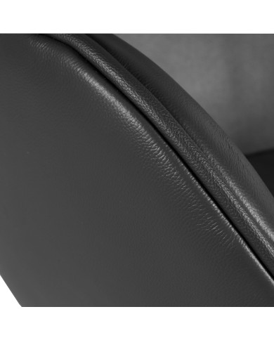 Sillón EG (TE), fibra de vidrio, basculante, tapizado similpiel negra