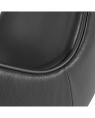 Sillón EG (TE), fibra de vidrio, basculante, tapizado similpiel negra